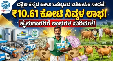 coastal dairy farmers