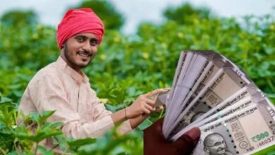 ಪಿಎಂ ಕಿಸಾನ್ ರೈತರಿಗೆ ಅಲರ್ಟ್! ಇ-ಕೆವೈಸಿ ಇಲ್ಲದಿದ್ದರೆ ಮುಂದಿನ ಕಂತು ಸ್ಥಗಿತ ಸಾಧ್ಯತೆ