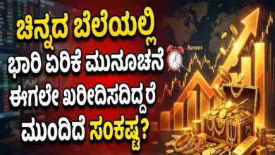gold price hike prediction best time to invest kannada