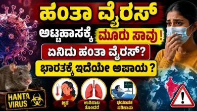 hanta virus outbreak luxury cruise deaths symptoms india risk alert