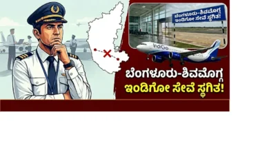 Indigo flight cancellations