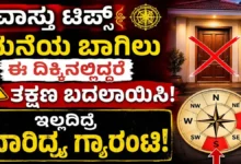 main door vastu tips avoid these directions for home entrance