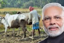ಪಿಎಂ ಕಿಸಾನ್ ಹಣ ಯಾವಾಗ ಬರುತ್ತೆ? ಕೋಟ್ಯಂತರ ರೈತರು ಕಾಯುತ್ತಿರುವ ಉತ್ತರ ಇಲ್ಲಿದೆ