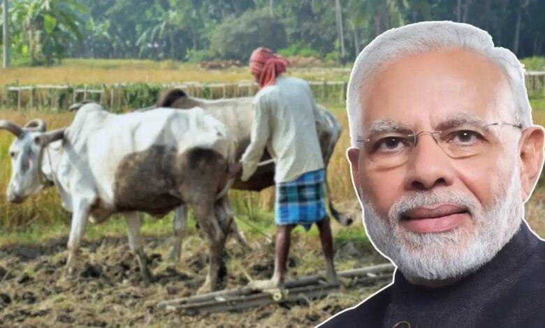 ಪಿಎಂ ಕಿಸಾನ್ ಹಣ ಯಾವಾಗ ಬರುತ್ತೆ? ಕೋಟ್ಯಂತರ ರೈತರು ಕಾಯುತ್ತಿರುವ ಉತ್ತರ ಇಲ್ಲಿದೆ