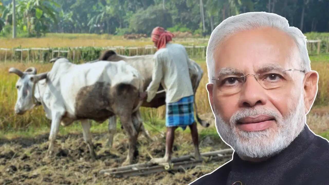 ಪಿಎಂ ಕಿಸಾನ್ ಹಣ ಯಾವಾಗ ಬರುತ್ತೆ? ಕೋಟ್ಯಂತರ ರೈತರು ಕಾಯುತ್ತಿರುವ ಉತ್ತರ ಇಲ್ಲಿದೆ