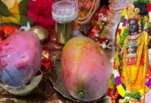 ರಾಮಪಾದಕ್ಕೆ ವಿಶ್ವದ ದುಬಾರಿ ಮಾವು ಅರ್ಪಣೆ.. ಕೃಷಿಯಲ್ಲಿ ಹೊಸ ದಾಖಲೆ ಬರೆದ ರೈತನ ಭಕ್ತಿ ಕಾಣಿಕೆ!