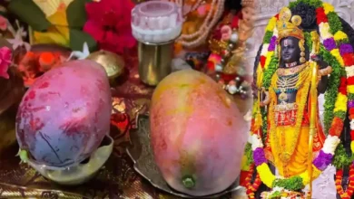 ರಾಮಪಾದಕ್ಕೆ ವಿಶ್ವದ ದುಬಾರಿ ಮಾವು ಅರ್ಪಣೆ.. ಕೃಷಿಯಲ್ಲಿ ಹೊಸ ದಾಖಲೆ ಬರೆದ ರೈತನ ಭಕ್ತಿ ಕಾಣಿಕೆ!