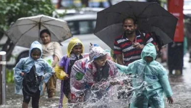 Kerala Rain Alert : ಕಾಸರಗೋಡಲ್ಲಿ ಬಾರೀ ಮಳೆ, ಈ ಜಿಲ್ಲೆಗಳ ಶಾಲಾ-ಕಾಲೇಜುಗಳಿಗೆ ರಜೆ ಘೋಷಣೆ