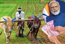 ರೈತರಿಗೆ ಸಿಹಿಸುದ್ದಿ! ಪಿಎಂ ಕಿಸಾನ್ 23ನೇ ಕಂತಿನ ಹಣ ಬಿಡುಗಡೆ ದಿನಾಂಕ ಫಿಕ್ಸ್