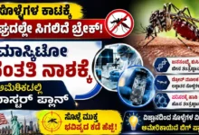 ಸೊಳ್ಳೆಗಳ ಕಾಟಕ್ಕೆ ಶೀಘ್ರದಲ್ಲೇ ಸಿಗಲಿದೆ ಬ್ರೇಕ್ : ಮಾಸ್ಕಿಟೋ ಸಂತತಿ ನಾಶಕ್ಕೆ ಅಮೆರಿಕದಲ್ಲಿ ಮಾಸ್ಟರ್ ಪ್ಲಾನ್