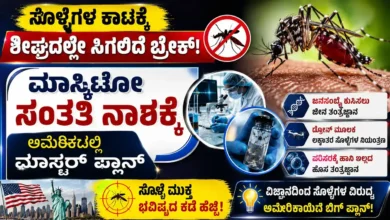 ಸೊಳ್ಳೆಗಳ ಕಾಟಕ್ಕೆ ಶೀಘ್ರದಲ್ಲೇ ಸಿಗಲಿದೆ ಬ್ರೇಕ್ : ಮಾಸ್ಕಿಟೋ ಸಂತತಿ ನಾಶಕ್ಕೆ ಅಮೆರಿಕದಲ್ಲಿ ಮಾಸ್ಟರ್ ಪ್ಲಾನ್