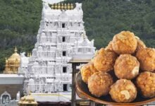 ತಿರುಪತಿ ಲಡ್ಡು ಮಾರಾಟದಲ್ಲಿ ಐತಿಹಾಸಿಕ ದಾಖಲೆ! ಬೇಡಿಕೆ ಗರಿಷ್ಠ ಮಟ್ಟಕ್ಕೆ