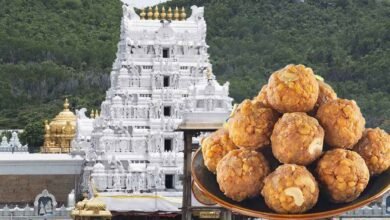 ತಿರುಪತಿ ಲಡ್ಡು ಮಾರಾಟದಲ್ಲಿ ಐತಿಹಾಸಿಕ ದಾಖಲೆ! ಬೇಡಿಕೆ ಗರಿಷ್ಠ ಮಟ್ಟಕ್ಕೆ