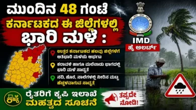 ಮುಂದಿನ 48 ಗಂಟೆ ಕರ್ನಾಟಕದ ಈ ಜಿಲ್ಲೆಗಳಲ್ಲಿ ಭಾರಿ ಮಳೆ : IMD ಹೈ ಅಲರ್ಟ್‌, ರೈತರಿಗೆ ಕೃಷಿ ಇಲಾಖೆ ಮಹತ್ವದ ಸೂಚನೆ