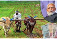 ಖಾತೆಗೆ ಪಿಎಂ ಕಿಸಾನ್ ಕಂತು ಬರ್ತಿಲ್ಲವಾ? ಮೊದಲು ಈ ಮೂರು ವಿಷಯ ಪರಿಶೀಲಿಸಿ