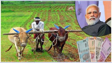 ಖಾತೆಗೆ ಪಿಎಂ ಕಿಸಾನ್ ಕಂತು ಬರ್ತಿಲ್ಲವಾ? ಮೊದಲು ಈ ಮೂರು ವಿಷಯ ಪರಿಶೀಲಿಸಿ