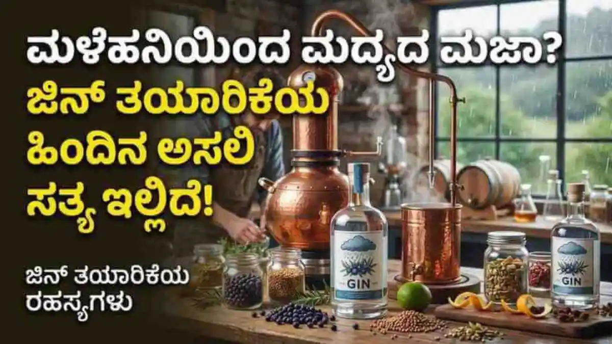 Gin Secret: ಮಳೆಹನಿಯಿಂದ ಮದ್ಯದ ಮಜಾ? ಜಿನ್ ತಯಾರಿಕೆಯ ಹಿಂದಿನ ಅಸಲಿ ಸತ್ಯ ಇಲ್ಲಿದೆ!