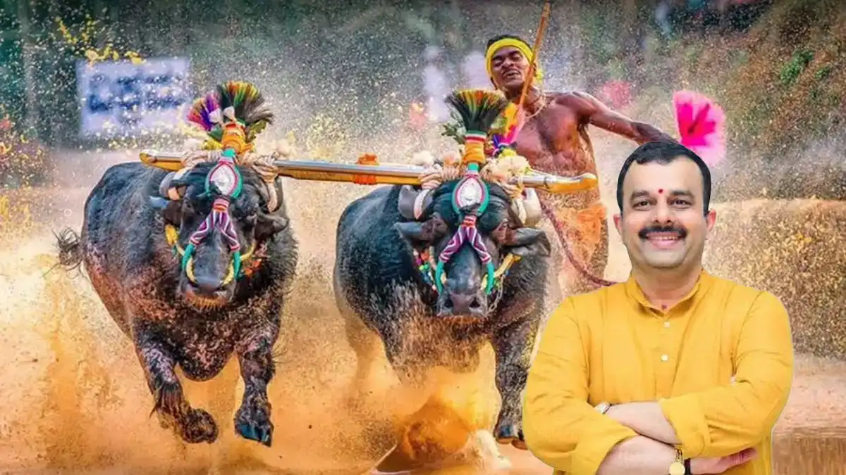 ಮೈಸೂರು ದಸರಾ ಕಂಬಳಕ್ಕೆ 8 ಕೋಟಿ ಕೊಟ್ರೆ, ಕರಾವಳಿಯ ಕಂಬಳಕ್ಕೆ 25 ಲಕ್ಷ ರೂಪಾಯಿ ಕೊಡಿ : ಸುನಿಲ್‌ ಕುಮಾರ್‌