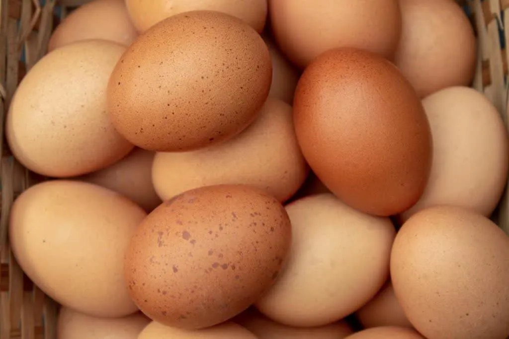 Egg 3