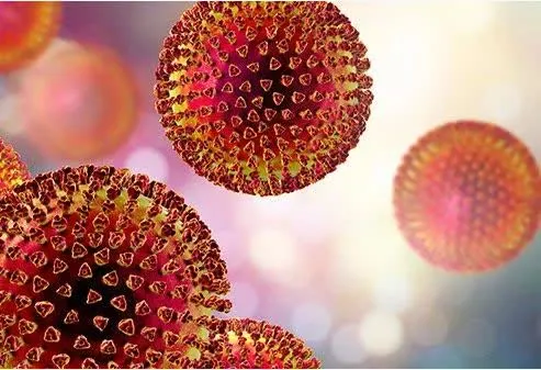 Lassa Virus 2