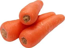 Carrot 2