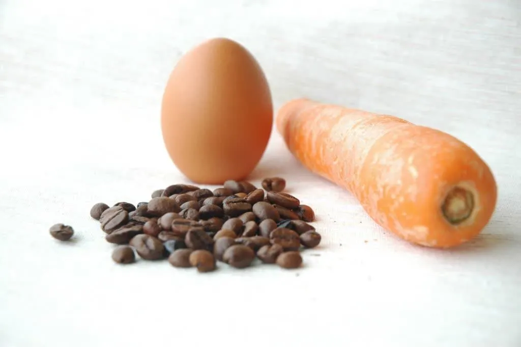 Egg Carrot