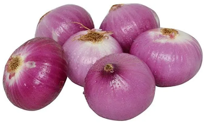 Onion 1