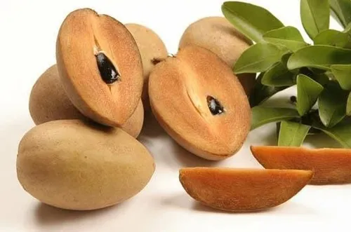 Sapota 4