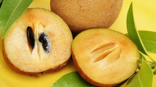Sapota 9