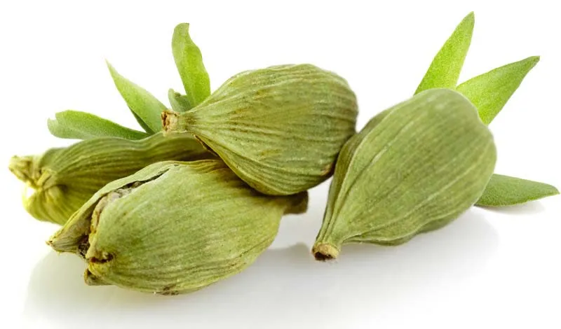 Cardamom 1