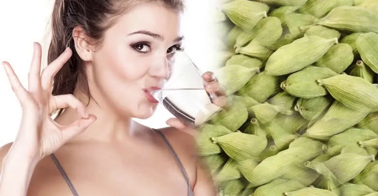 Cardamom 7