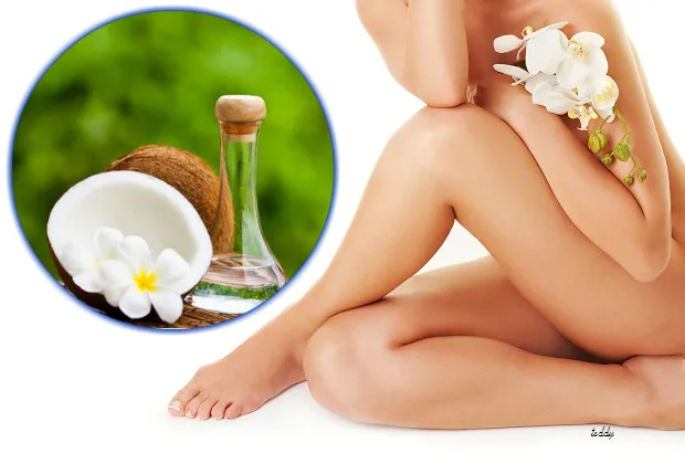 Coconut New 2