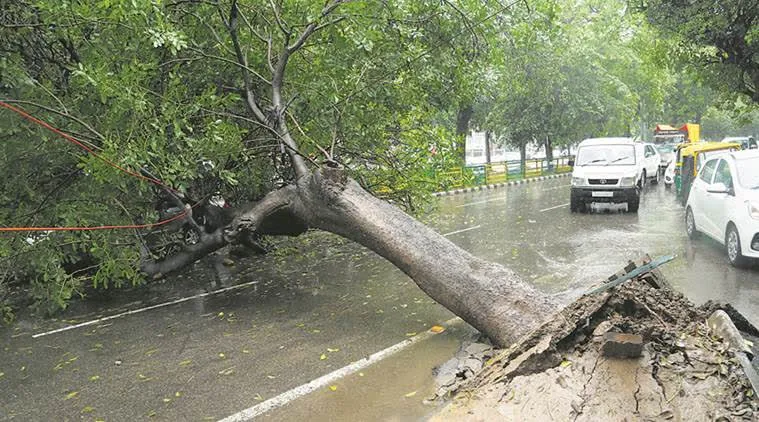 Heavy Rain