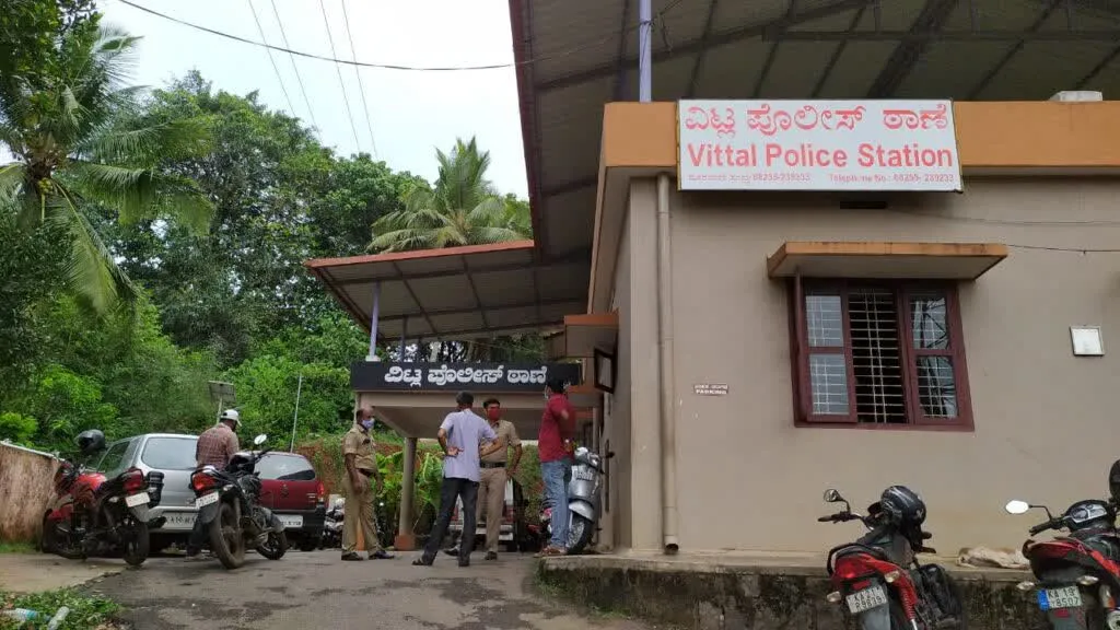 Vitla 5