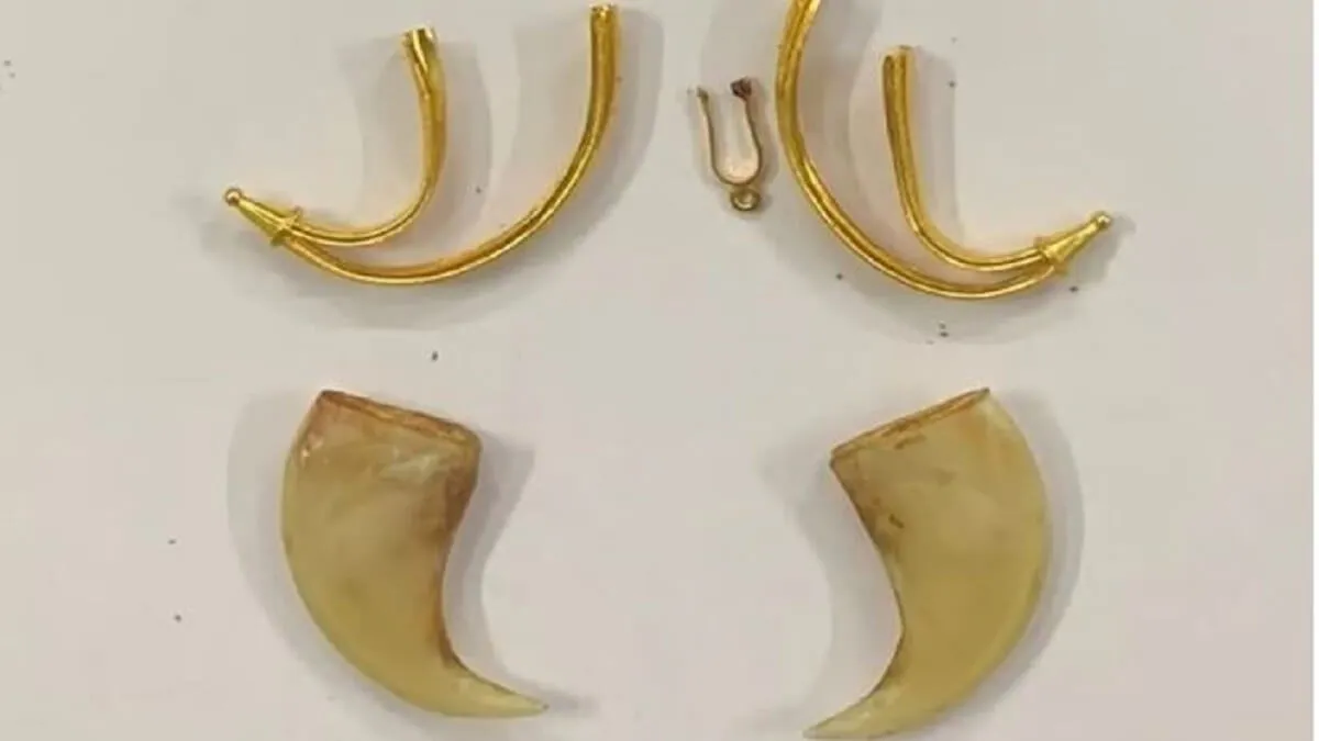 Forest department issued notice after take custody Darshan Thoogudeepa tiger Claw Pendant